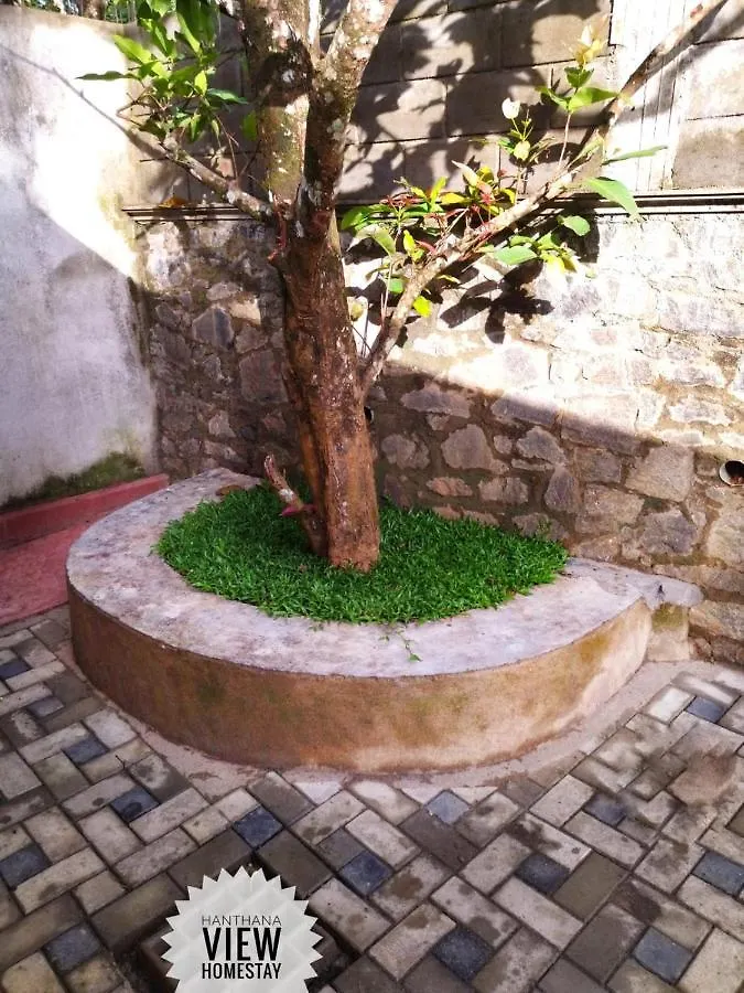 Hanthana View Homestay Kandy