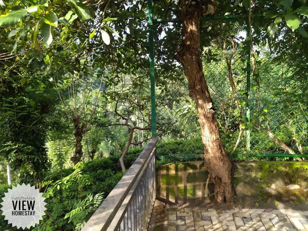 Hanthana View Homestay Kandy Lodge