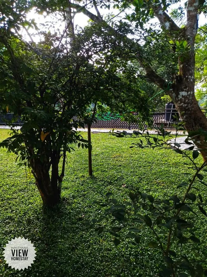 Hanthana View Homestay Kandy 0*,