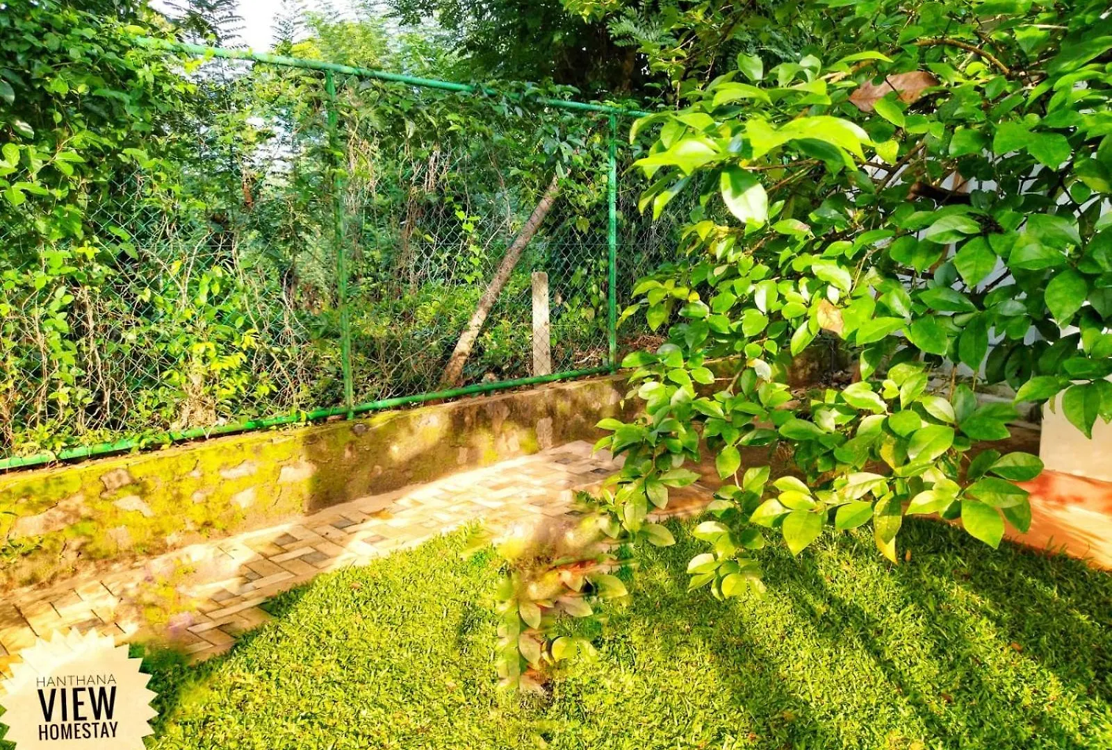 Hanthana View Homestay Kandy Lodge